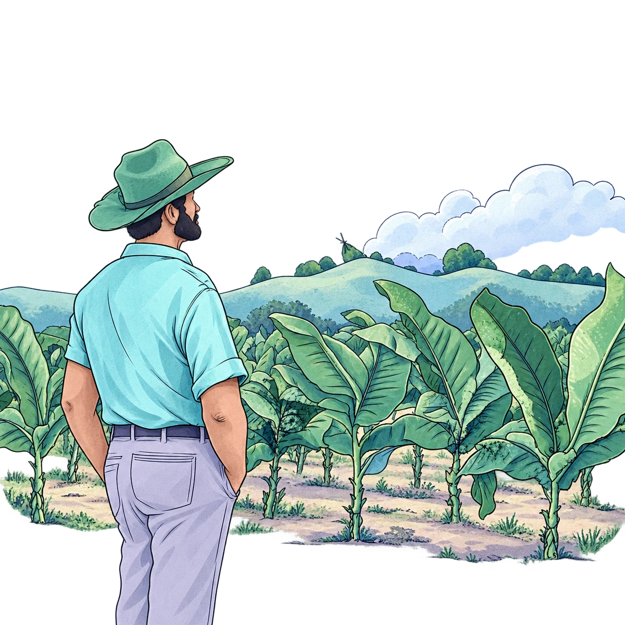 WAB artwork of a farmer among banana crops